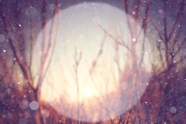 Blurred winter background — Stock Photo, Image