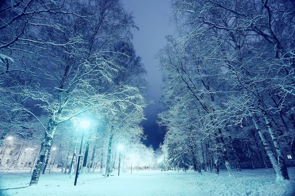 Noc zimowego krajobrazu — Zdjęcie stockowe