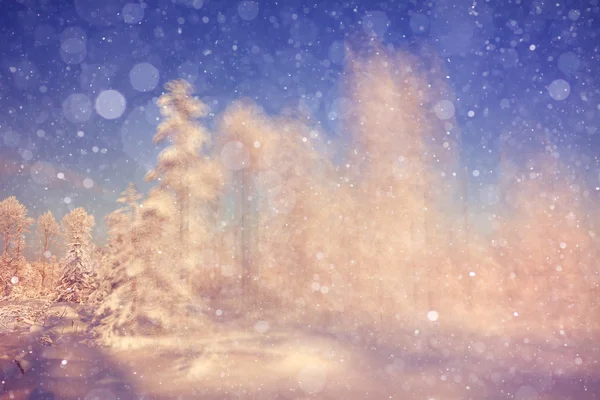 Χειμώνα φόντο με θαμπάδα δάσος — Φωτογραφία Αρχείου