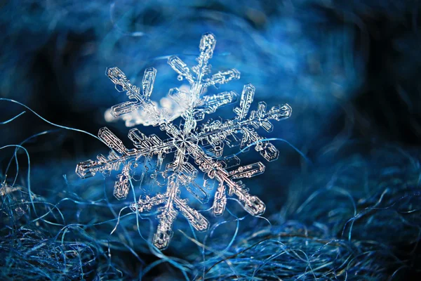 Natural snowflake on  background — Stock Photo, Image