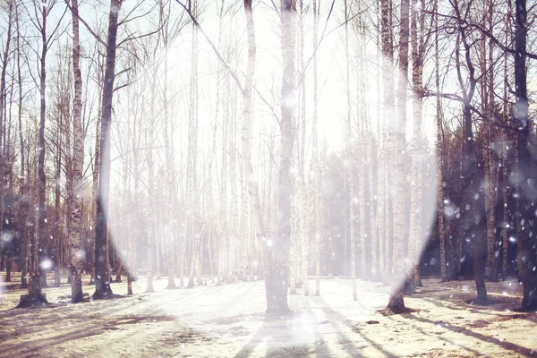 Début du printemps dans le parc — Photo