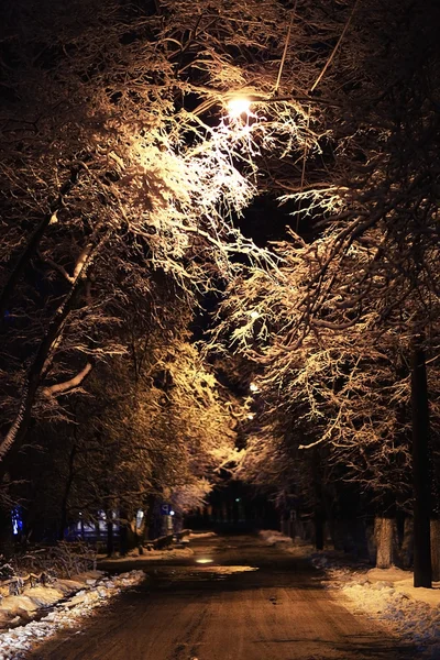 Nacht winterlandschap — Stockfoto