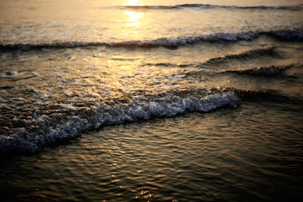 gün batımında denizde yaz 