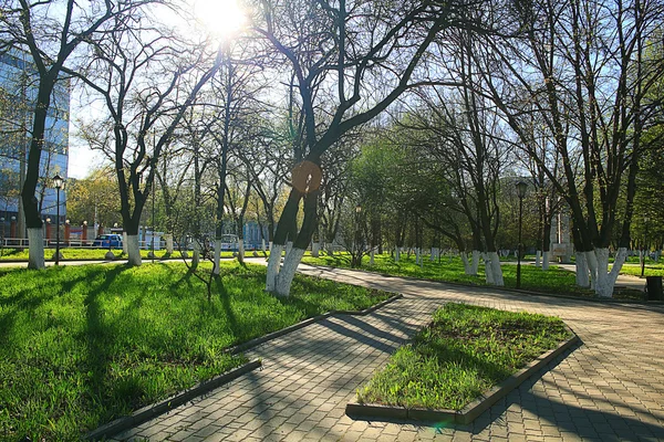 Fondo del parque de primavera — Foto de Stock