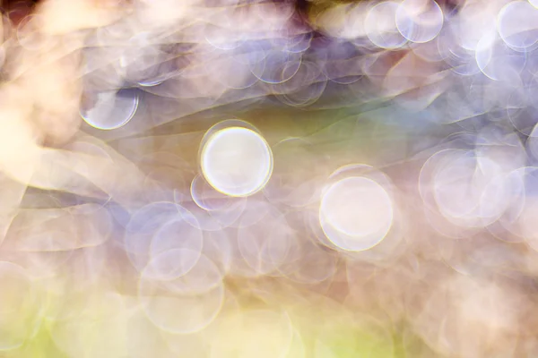 Toned blurred background bokeh — Stock Photo, Image