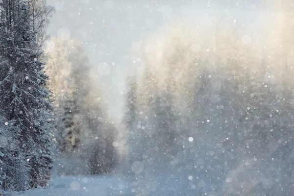 Fondo de invierno con bosque borroso — Foto de Stock