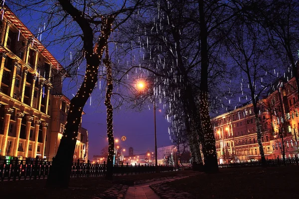 Night winter landscape in the alley — Stock Photo, Image