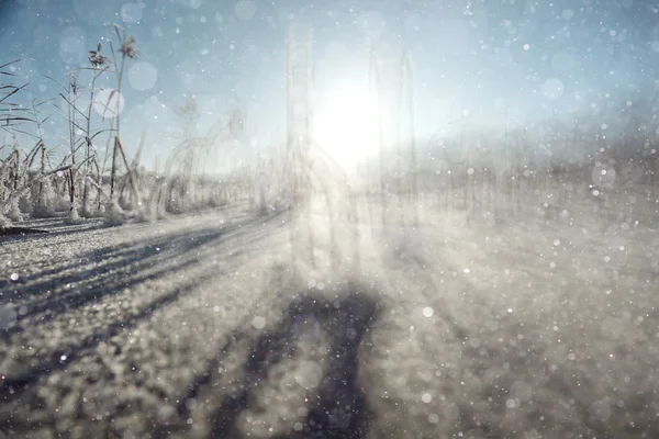 Vinter bakgrund med oskärpa skog — Stockfoto