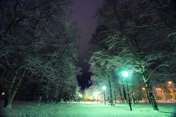 Night winter landscape in the alley of city park