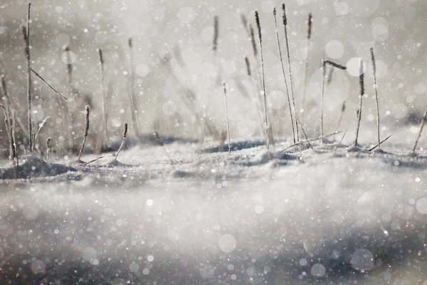 Paesaggio invernale sullo sfondo — Foto Stock
