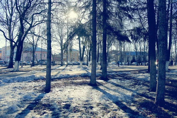 Våren solen skogslandskap — Stockfoto