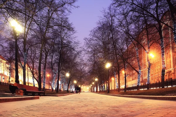 Noite paisagem de inverno no beco — Fotografia de Stock