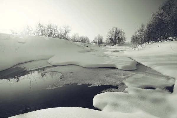 Monochrome Winterlandschaft — Stockfoto