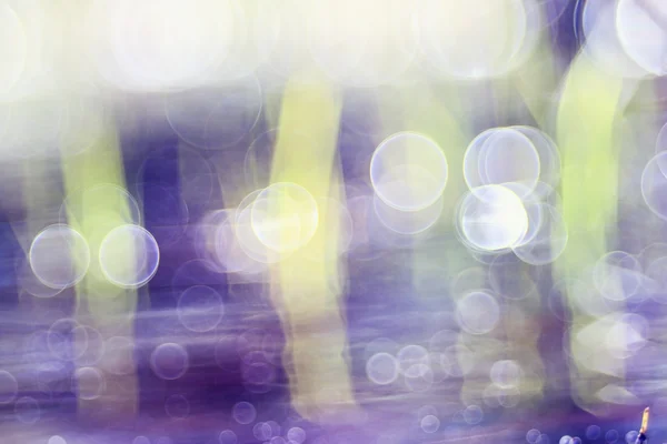 Blurred background with white circles — Stock Photo, Image