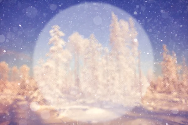 Blurred winter background — Stock Photo, Image