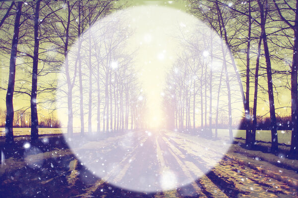 Spring forest background blur circle for text