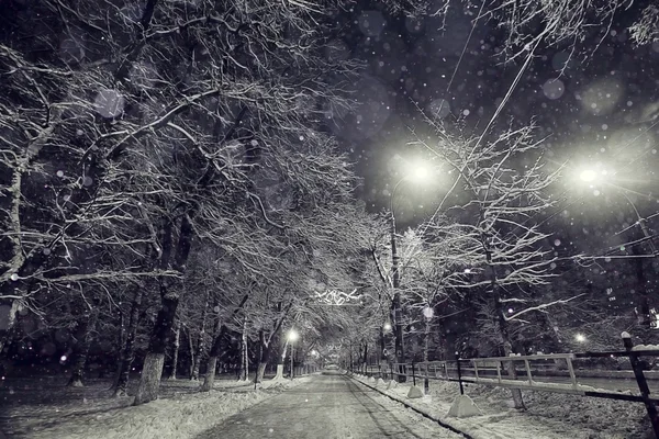 Inverno notte sfondo — Foto Stock