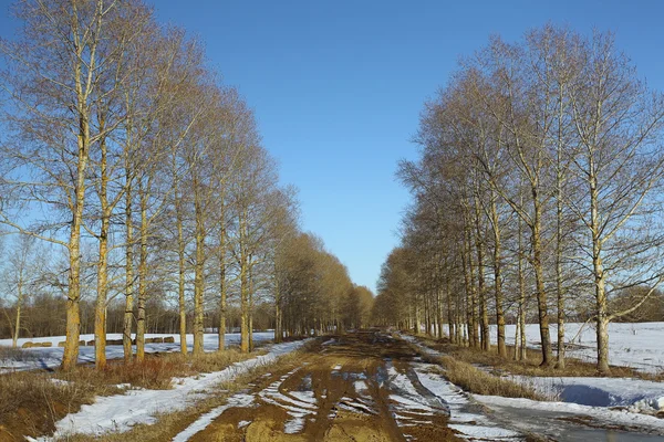 early spring snow melts