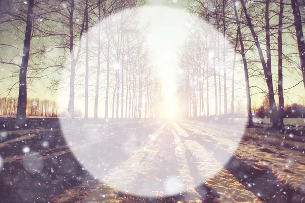 Spring forest background blur circle — Stock Photo, Image