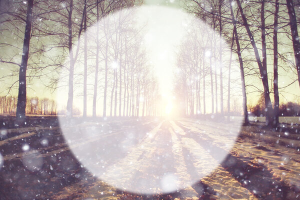 Spring forest background blur circle for text
