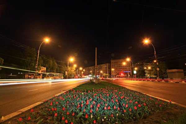 与城市里的郁金香花坛 — 图库照片