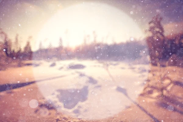 Размытый зимний фон — стоковое фото