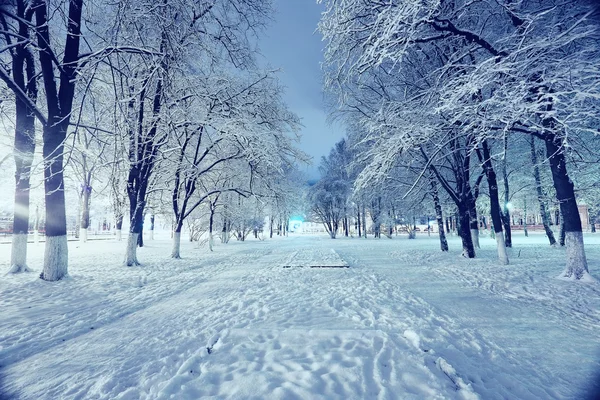 Нічний пейзаж в зимовому місті — стокове фото