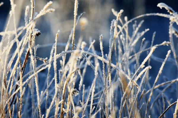 Textura de la hermosa nieve — Foto de Stock