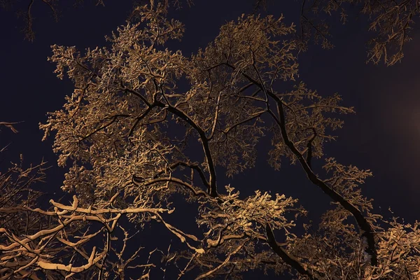 冬天的夜晚背景 — 图库照片