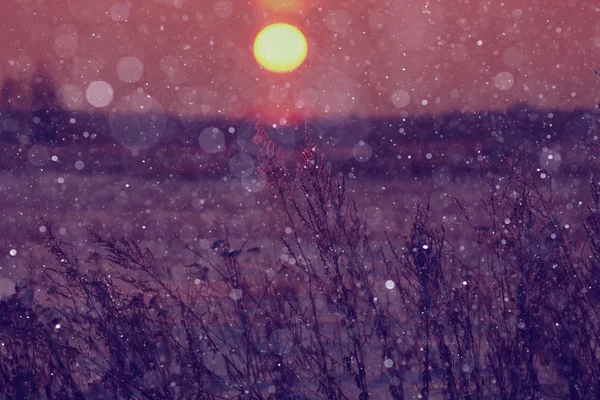 Gyönyörű téli naplemente — Stock Fotó