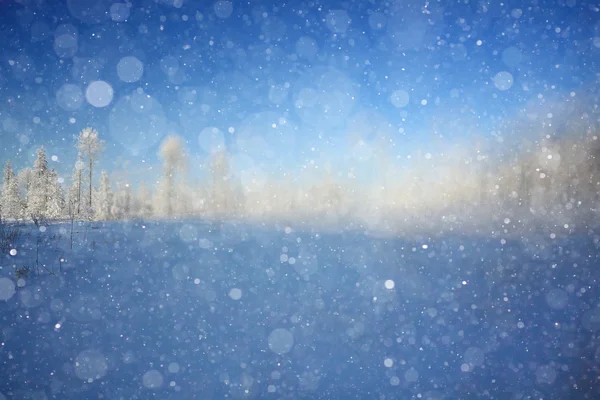 Vinter bakgrund med oskärpa skog — Stockfoto