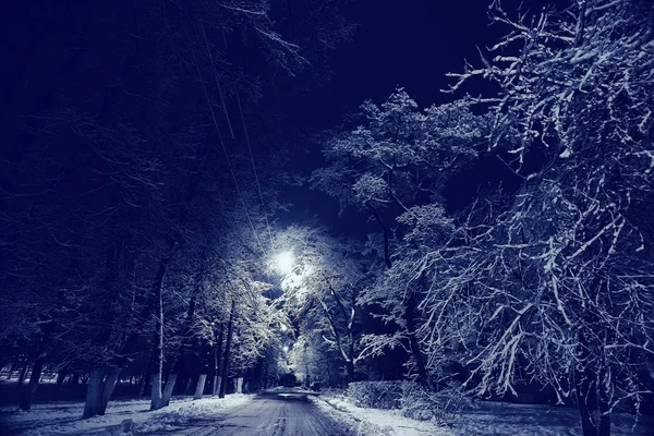 Noche invierno paisaje — Foto de Stock