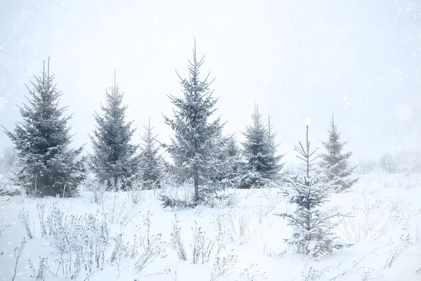 Linda paisagem de inverno — Fotografia de Stock