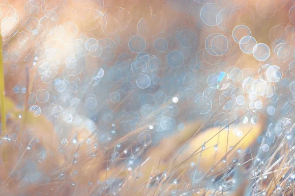 background with Spring grass 