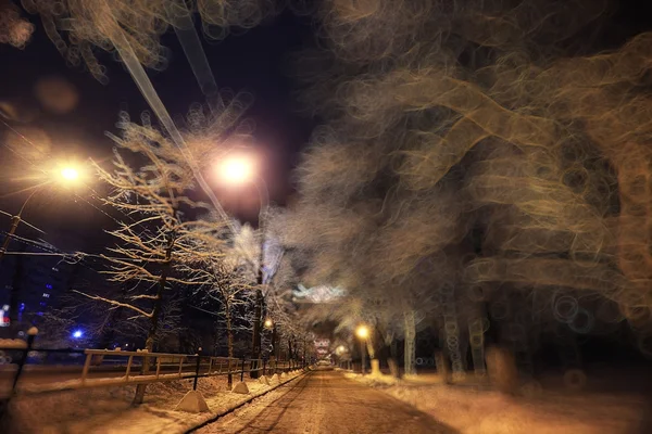 Noche invierno paisaje — Foto de Stock