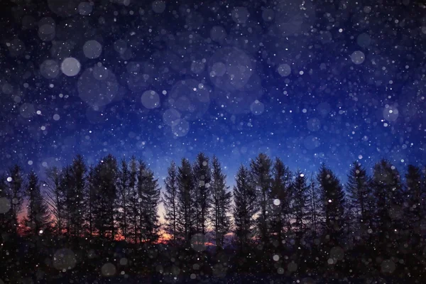 Night snowfall and trees — Stock Photo, Image