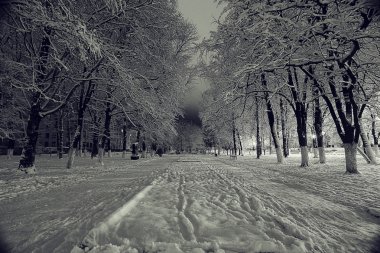 gece kış manzarası