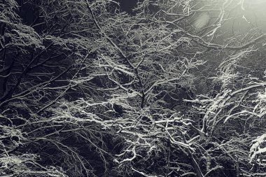 Kış gecesi arka plan