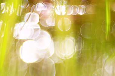 Bulanık Bokeh arka plan