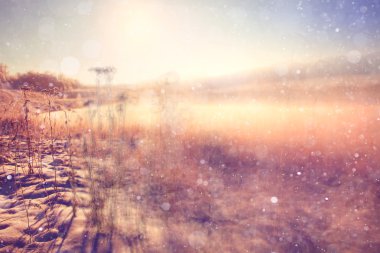 ile kış arka plan bulanıklık orman 