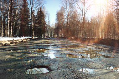 parkta erken Bahar kar erir