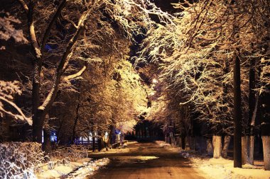 gece kış manzarası