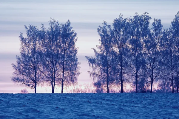Гарні зимовий захід сонця — стокове фото