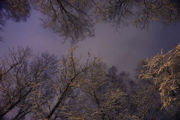 Vinter natten bakgrund — Stockfoto