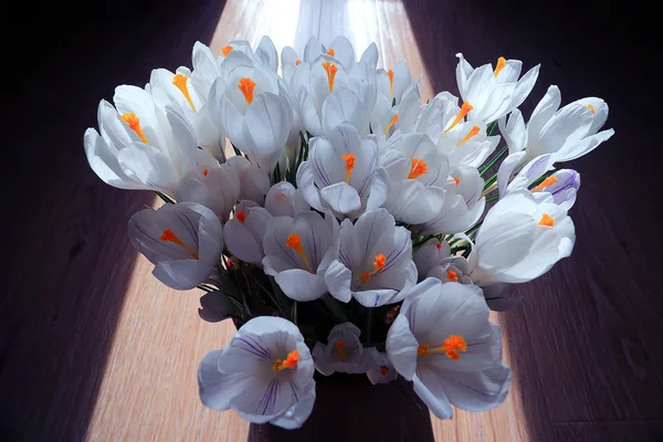 春天束鲜花 — 图库照片