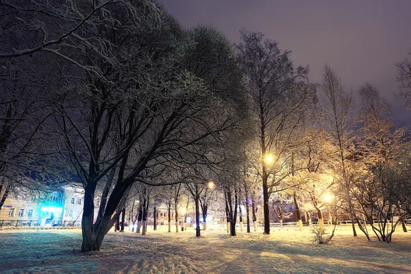 Night winter landscape — Stock Photo, Image