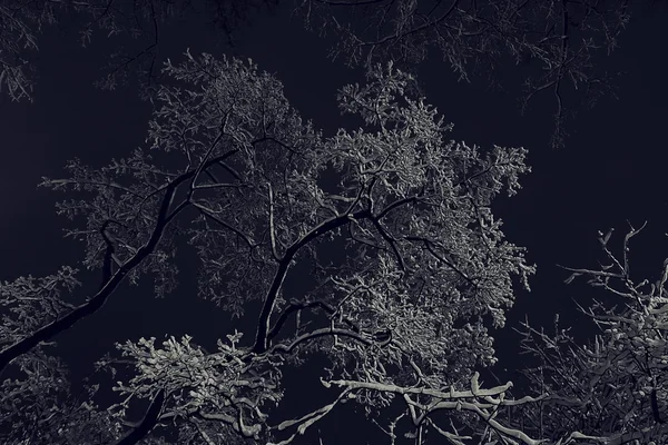 Hintergrund Winternacht — Stockfoto