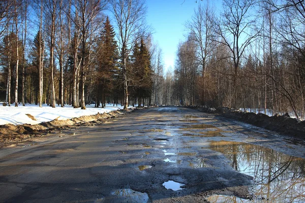 이른 봄 눈 녹는 공원에서 — 스톡 사진