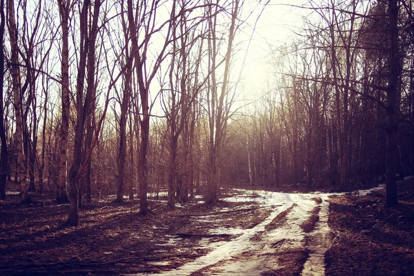 Landscape road spring village — Stock Photo, Image