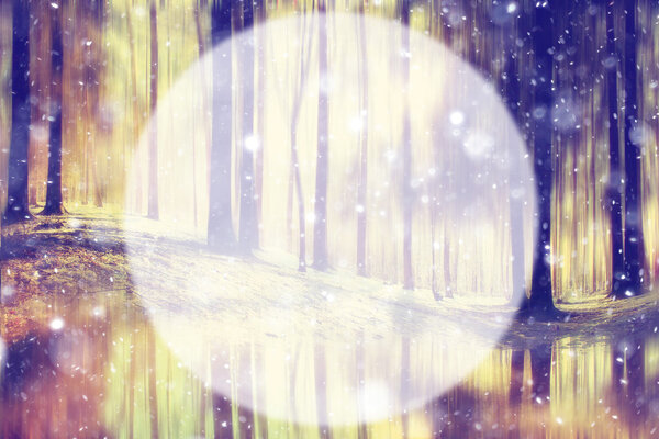 Spring forest background with blur circle for text